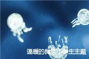 温暖的微笑小学生主题作文(精选5篇)