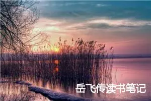 岳飞传读书笔记