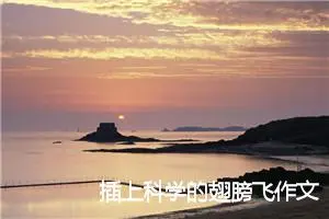 插上科学的翅膀飞作文600字(精选5篇)