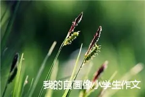 我的自画像小学生作文(精选10篇)