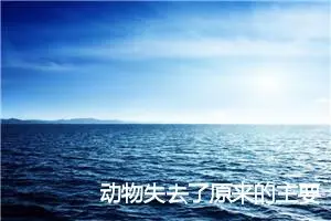 动物失去了原来的主要特征三年级作文(精选7篇)