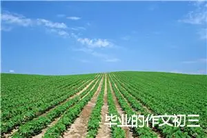 毕业的作文初三