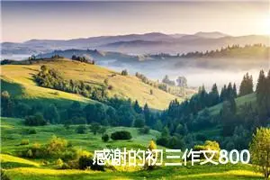 感谢的初三作文800字