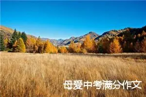 母爱中考满分作文
