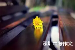 深圳中考作文