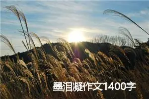 墨泪凝作文1400字高三