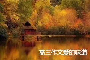 高三作文爱的味道