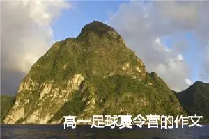 高一足球夏令营的作文(精选5篇)