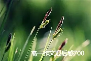 高一作文观后感700字(精选5篇)