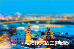 写物作文初二(精选5篇)