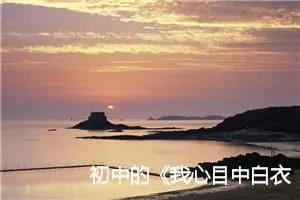 初中的《我心目中白衣天使》初中作文600字