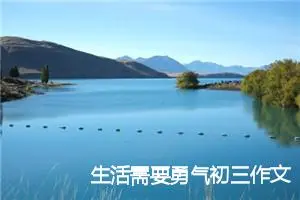 生活需要勇气初三作文(精选5篇)