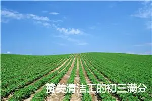 赞美清洁工的初三满分作文