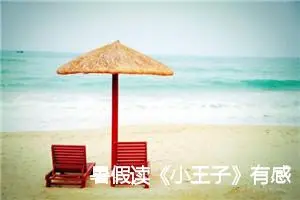 暑假读《小王子》有感六年级