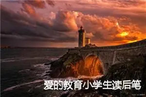 爱的教育小学生读后笔记
