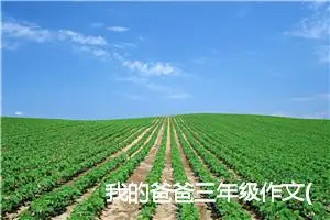 我的爸爸三年级作文(精选10篇)