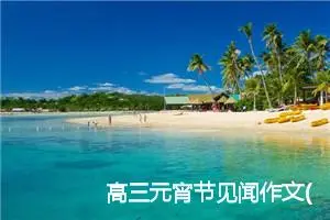 高三元宵节见闻作文(精选5篇)