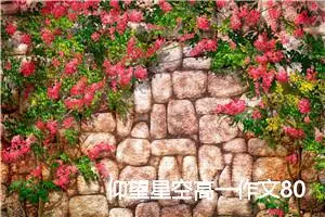 仰望星空高一作文800字(精选5篇)