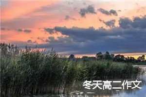 冬天高二作文
