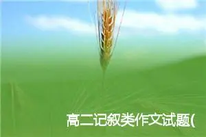 高二记叙类作文试题(精选7篇)