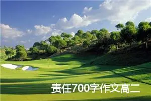 责任700字作文高二(精选5篇)