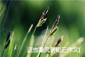 这也是风雨初三作文(精选5篇)