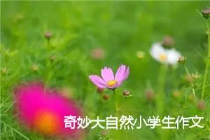 奇妙大自然小学生作文600字(精选5篇)