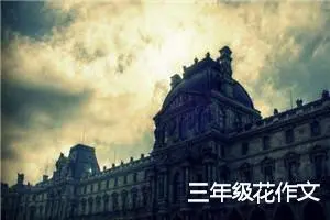 三年级花作文