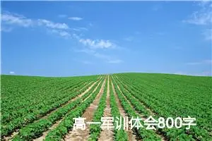 高一军训体会800字作文(精选5篇)