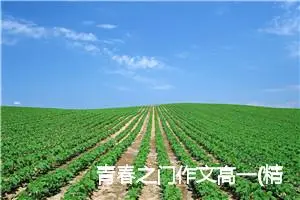 青春之门作文高一(精选5篇)