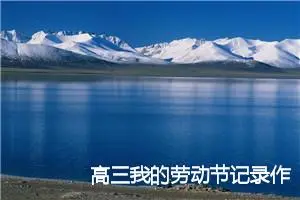 高三我的劳动节记录作文(精选5篇)