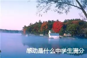 感动是什么中学生满分作文(精选5篇)
