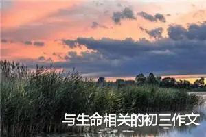 与生命相关的初三作文(精选5篇)