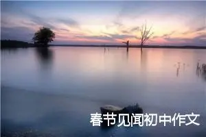 春节见闻初中作文