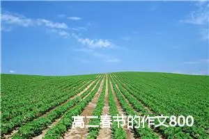 高二春节的作文800字(精选5篇)
