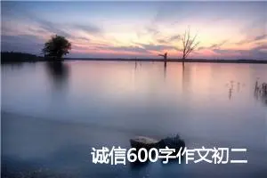 诚信600字作文初二作文(精选5篇)
