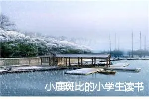 小鹿斑比的小学生读书笔记