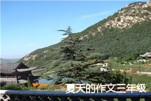 夏天的作文三年级