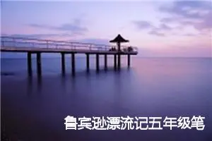 鲁宾逊漂流记五年级笔记