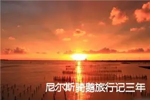 尼尔斯骑鹅旅行记三年级读后笔记