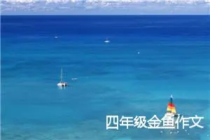 四年级金鱼作文