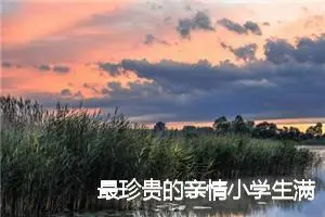 最珍贵的亲情小学生满分作文(精选5篇)