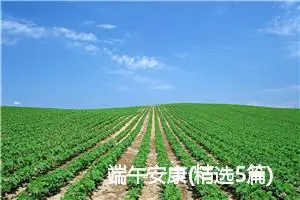 端午安康(精选5篇)
