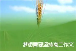梦想需要坚持高二作文(精选5篇)