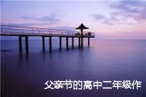 父亲节的高中二年级作文600字(精选5篇)