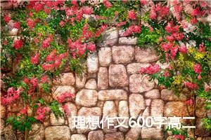理想作文600字高二(精选5篇)