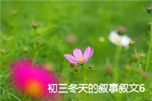 初三冬天的叙事叙文600字(精选5篇)