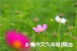 乡情作文九年级(精选5篇)