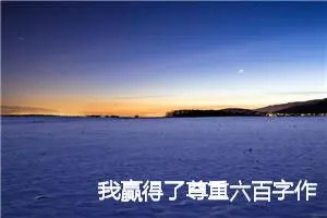 我赢得了尊重六百字作文(精选5篇)