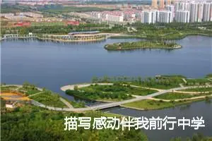 描写感动伴我前行中学生作文(精选5篇)